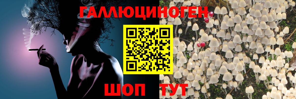Псилоцибиновые грибы прущие грибы  Вход с VPN  Кстово 